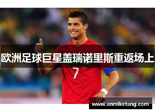 欧洲足球巨星盖瑞诺里斯重返场上