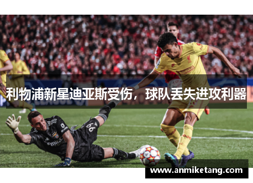 利物浦新星迪亚斯受伤，球队丢失进攻利器